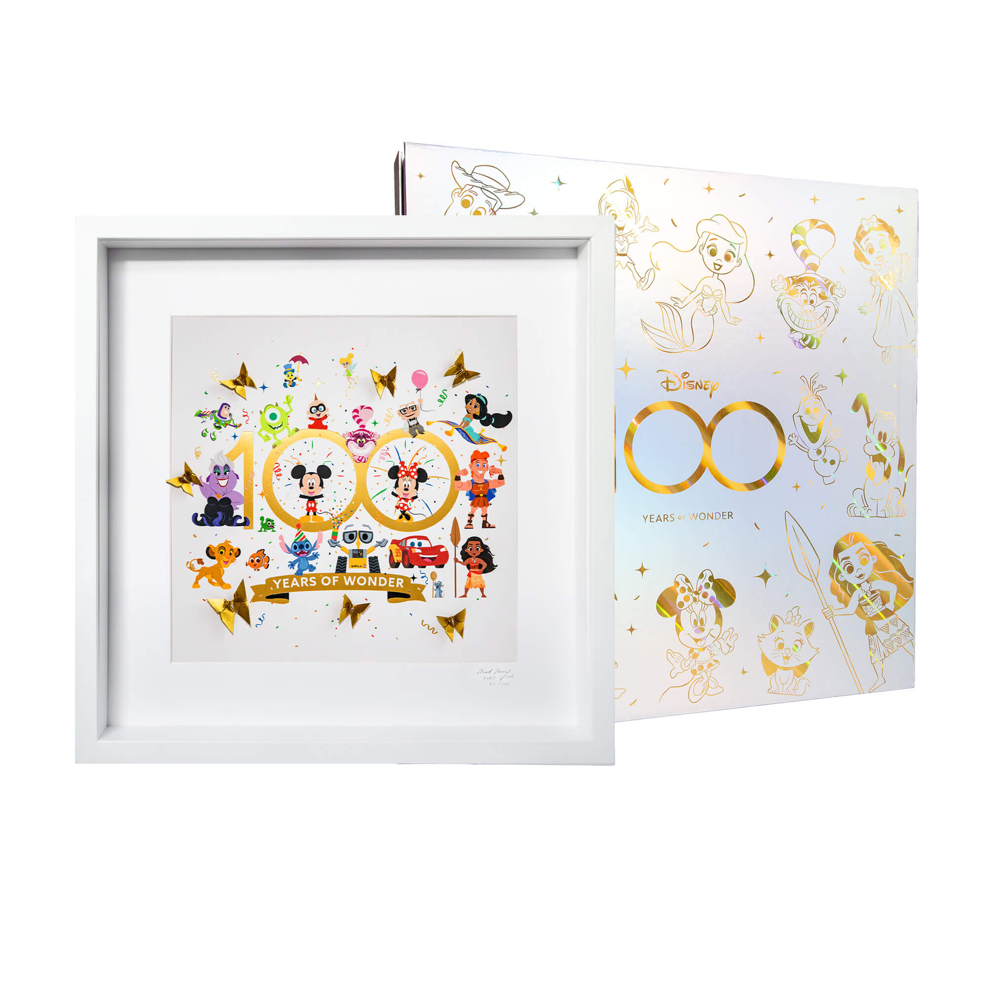 Disney Large White Frame D100