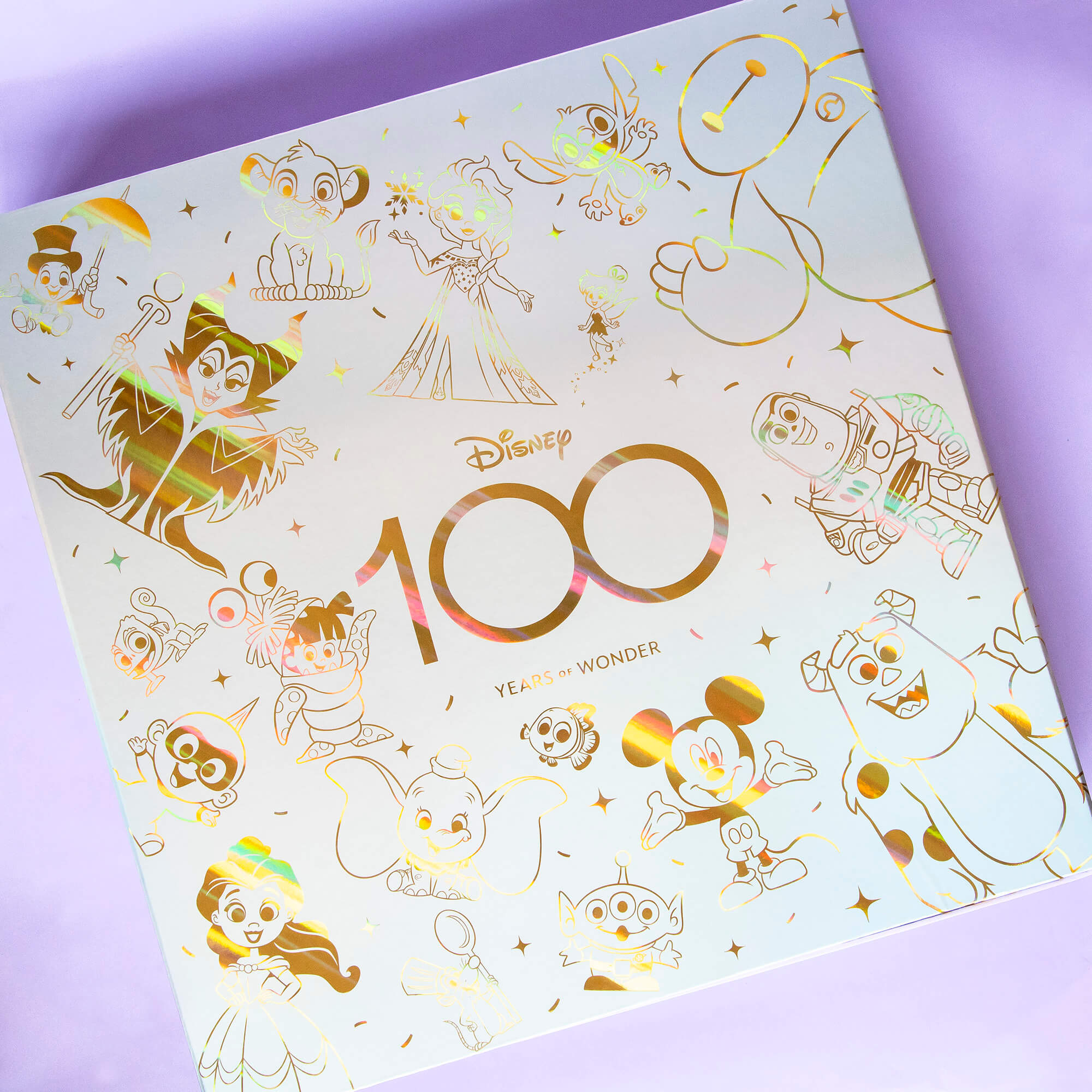 Disney Large White Frame D100