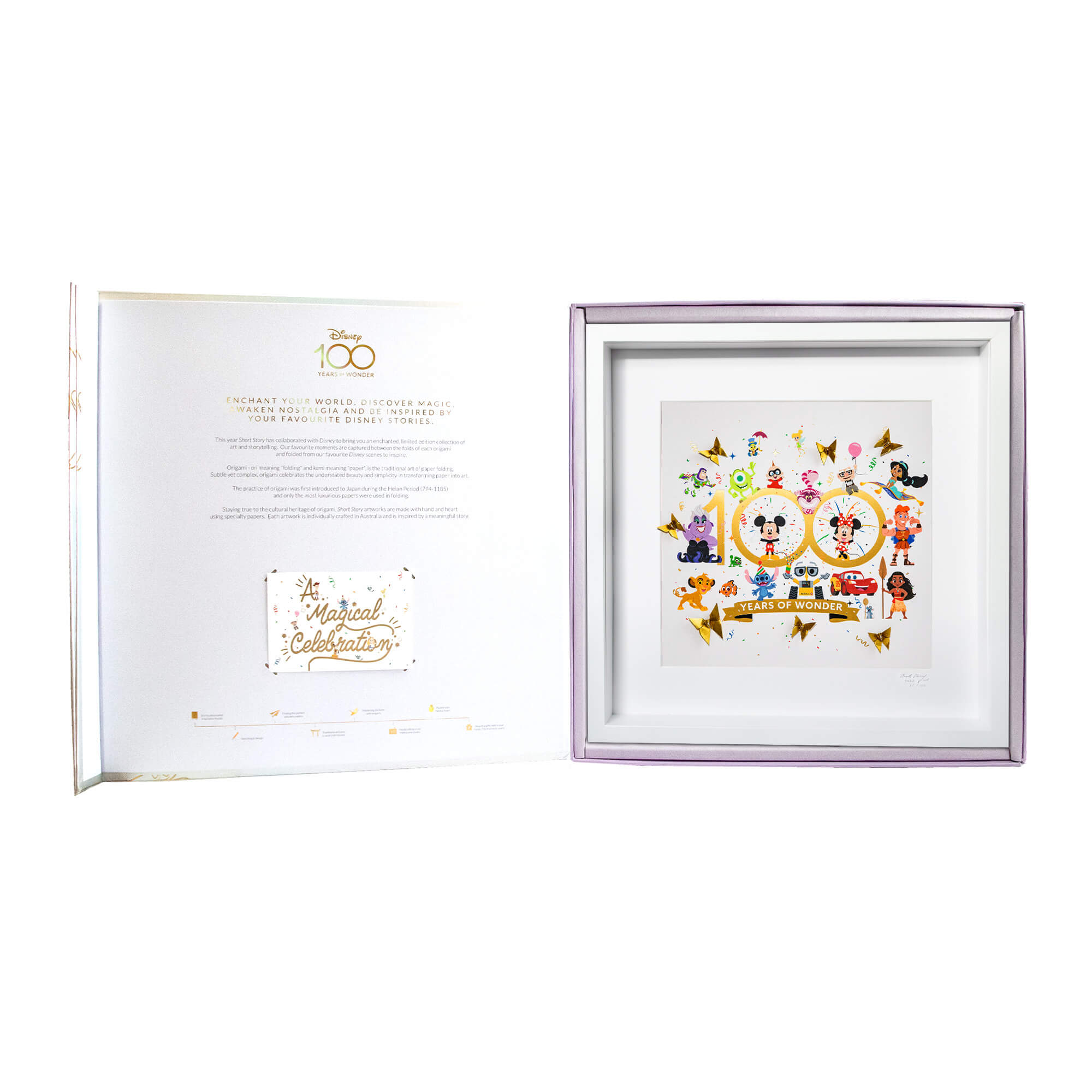 Disney Large White Frame D100