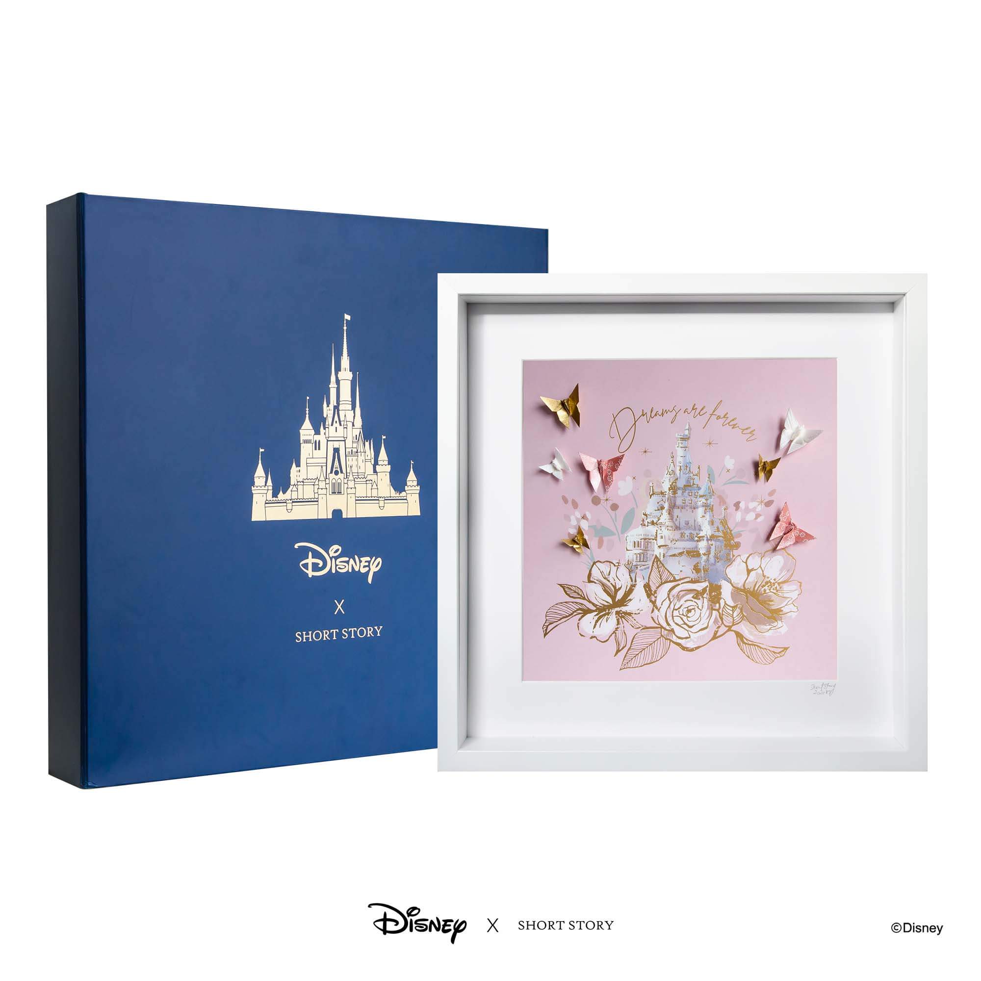 Disney Large White Frame Castle II