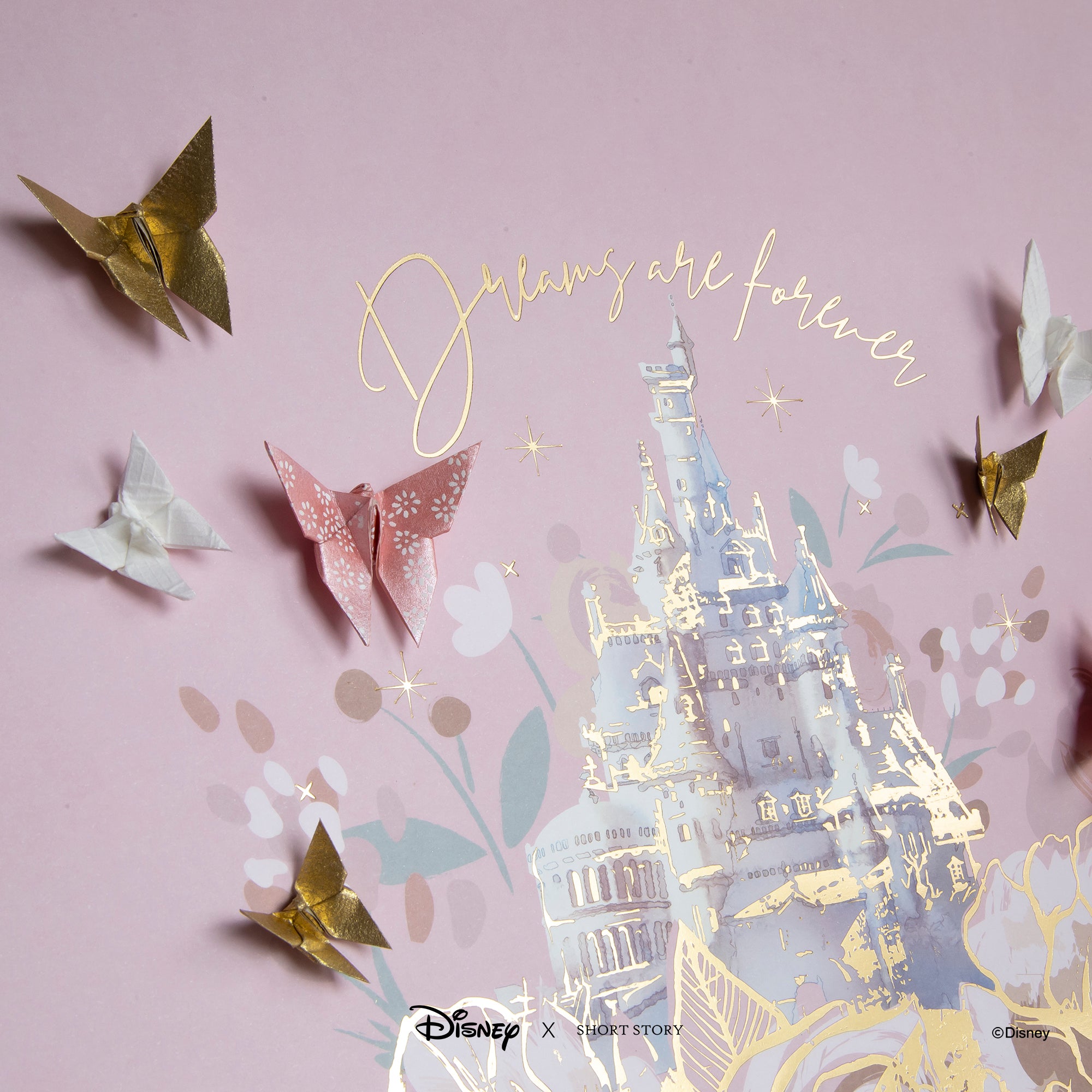Disney Large White Frame Castle II