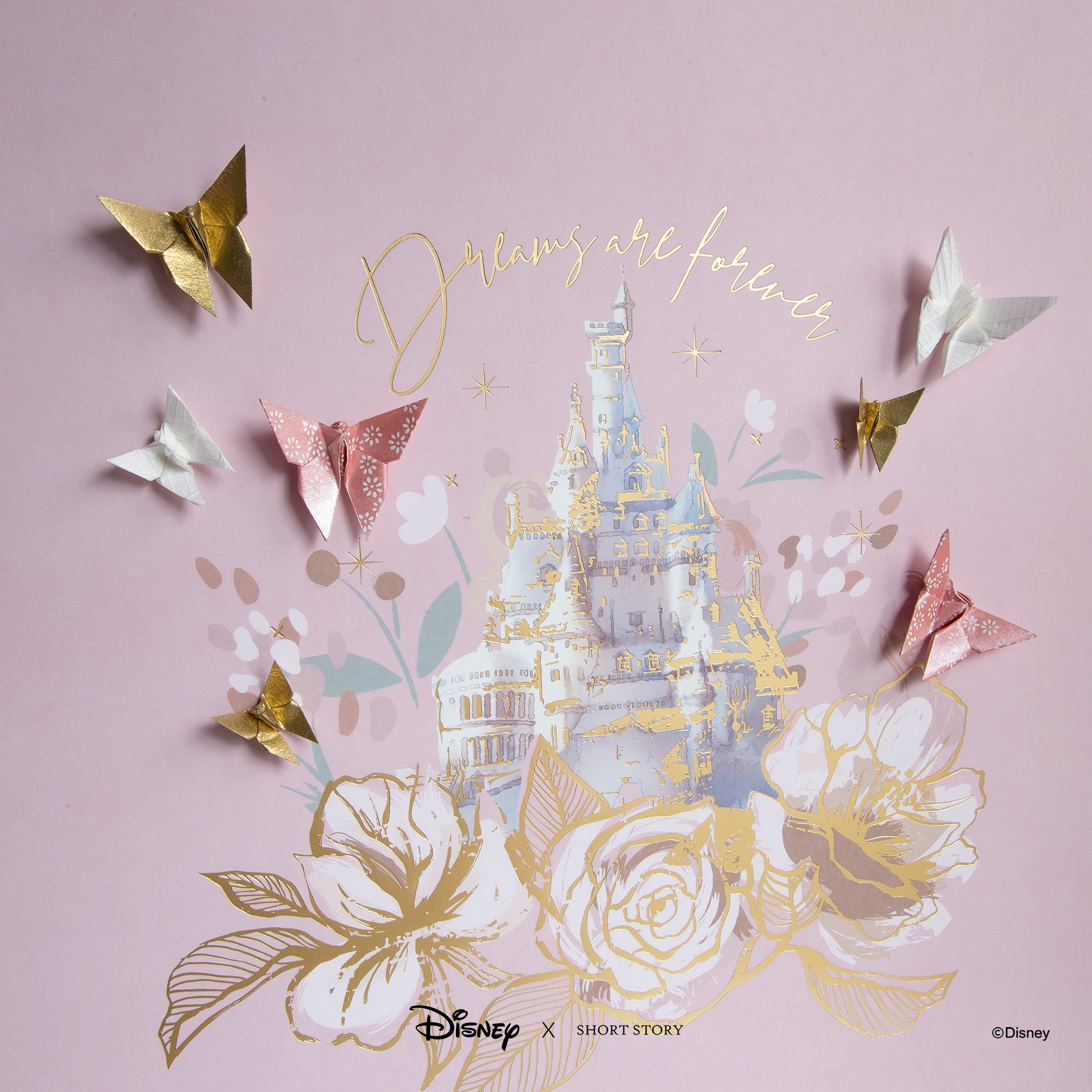 Disney Large White Frame Castle II