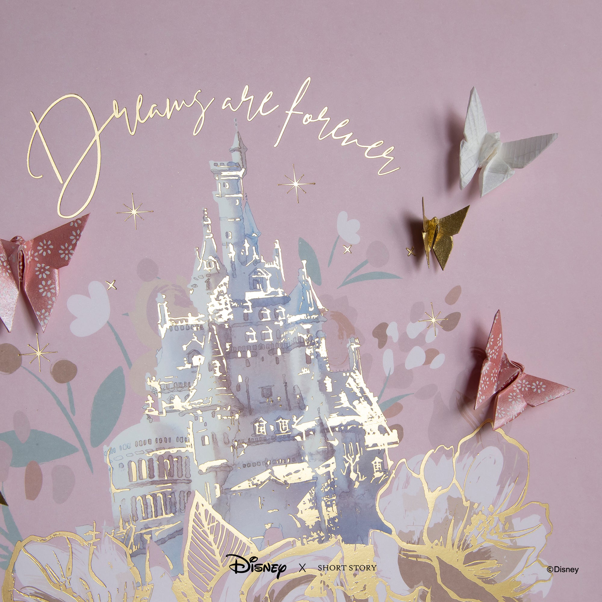 Disney Large White Frame Castle II