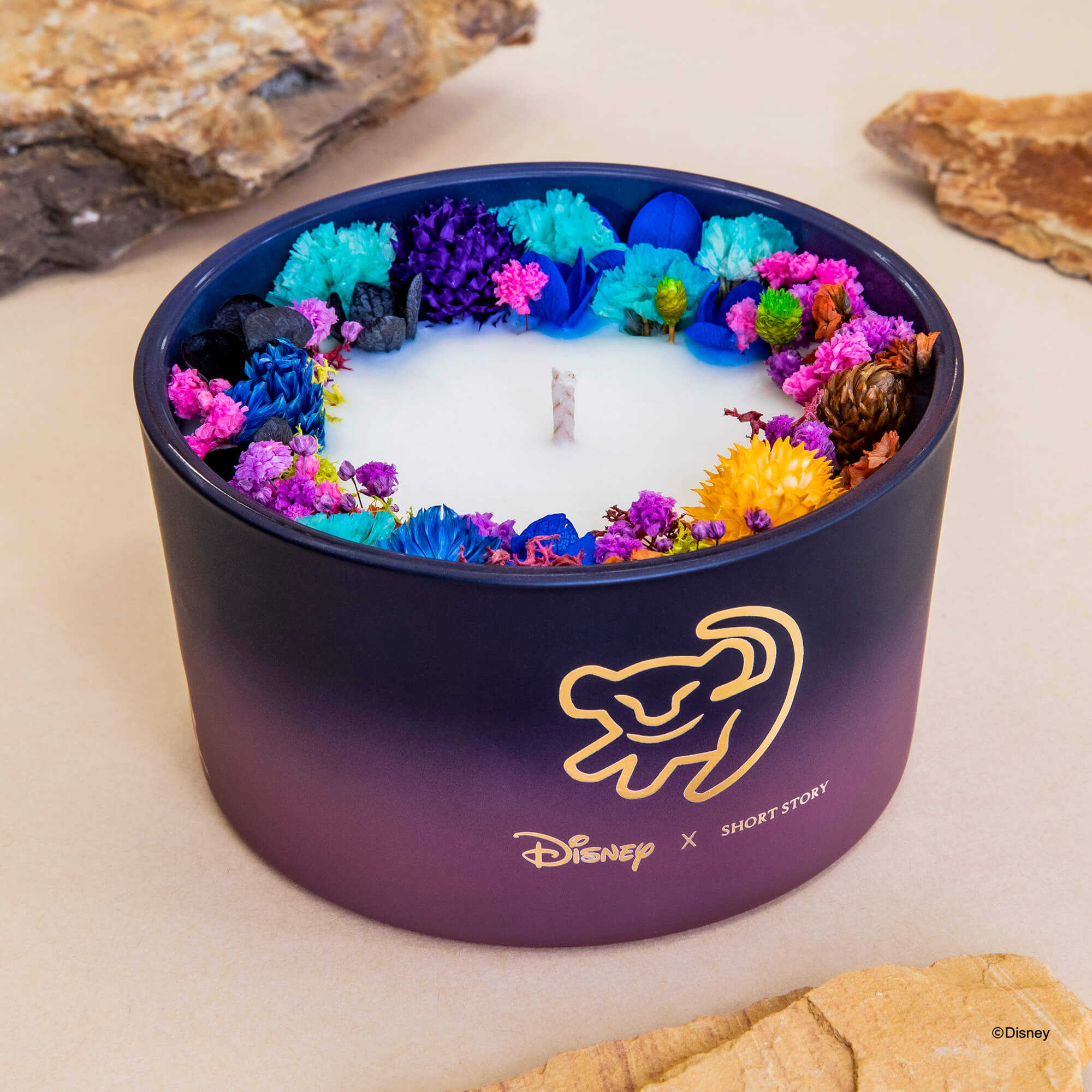 Disney Scar Collection Pack