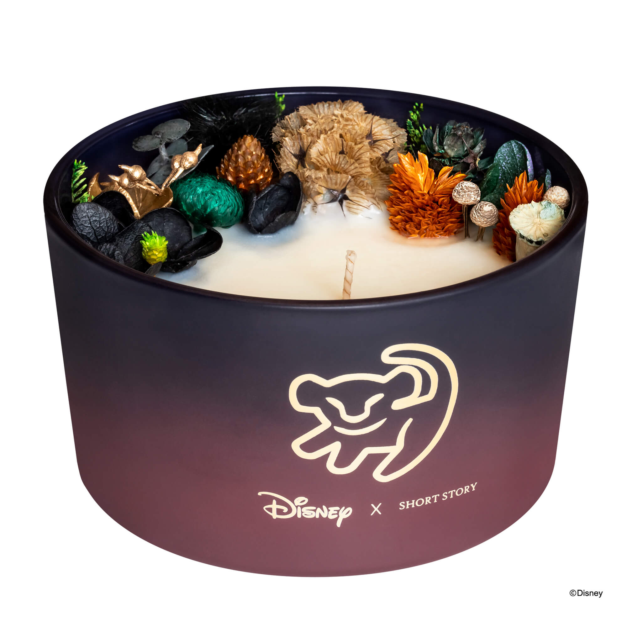 Disney Scar Collection Pack