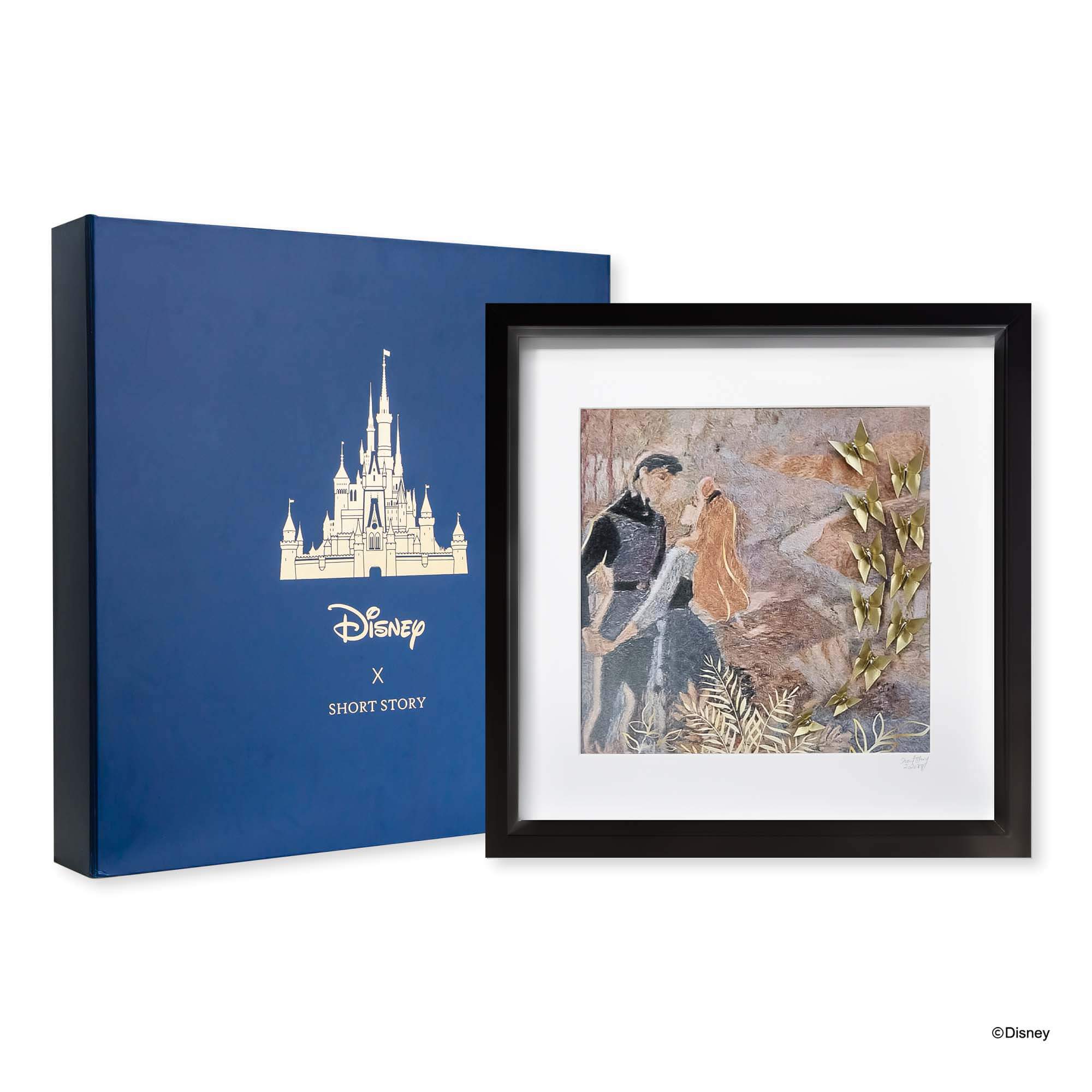 Disney Large Black Frame Aurora & Phillip
