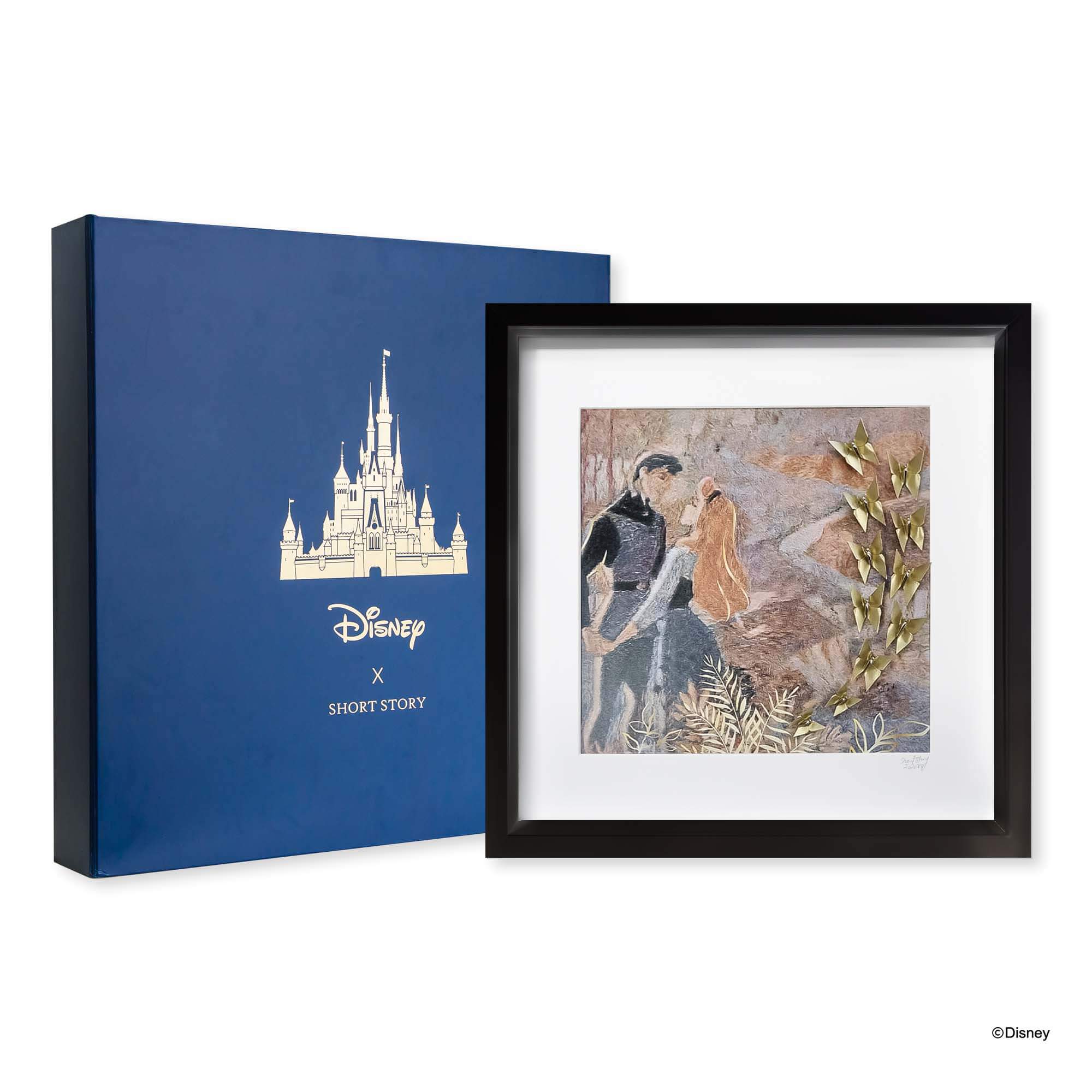 Disney Large Black Frame Aurora &amp; Phillip