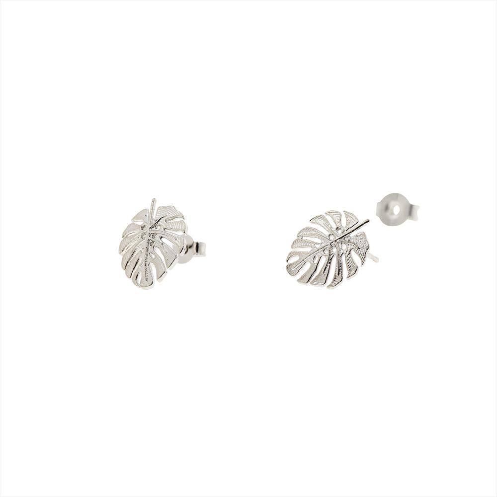 Earring Monstera Leaf