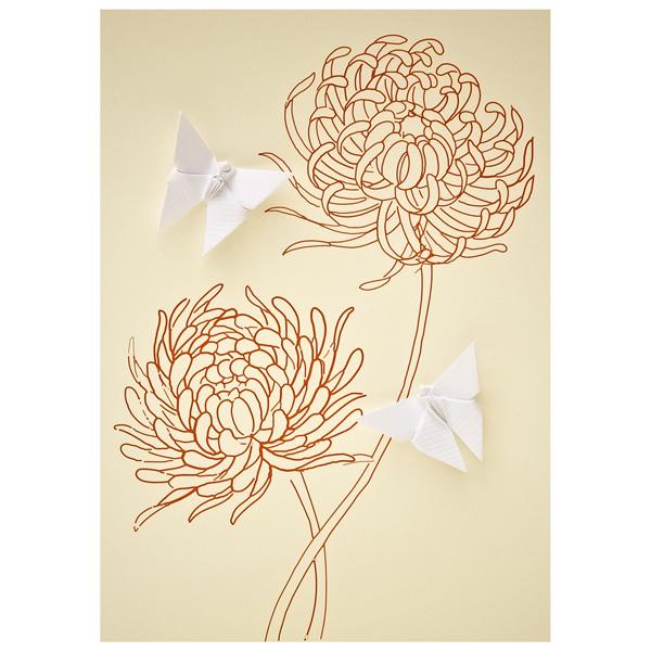 Card Chrystanthemum Butterflies