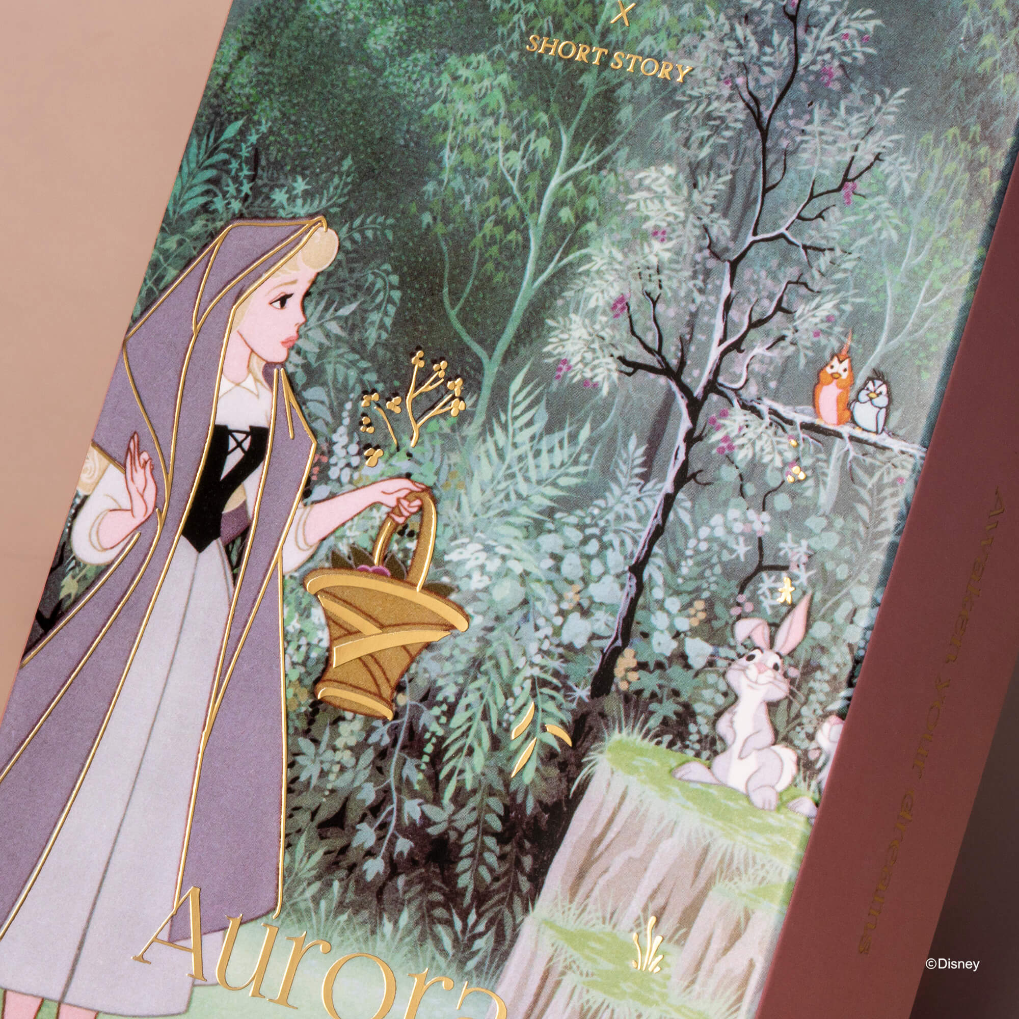 Disney Diffuser Sleeping Beauty