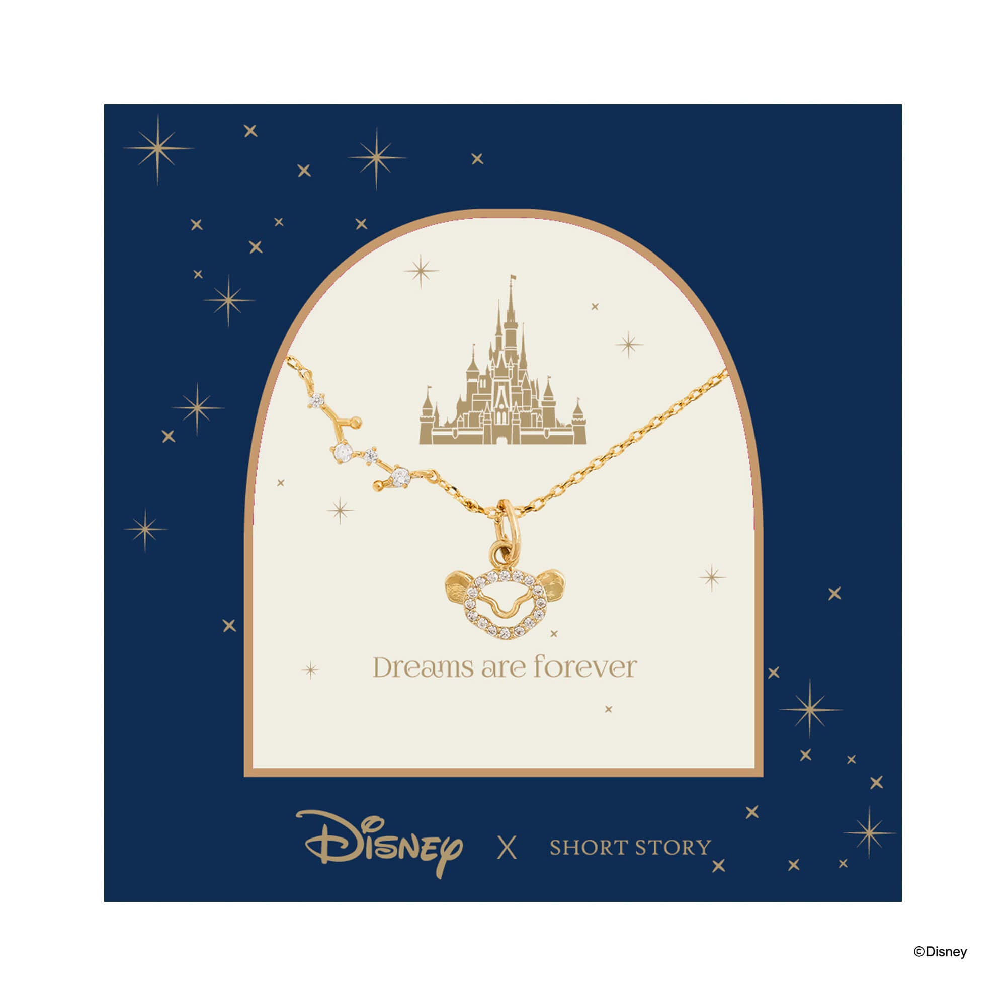 Disney Necklace Diamante Simba Face Stencil