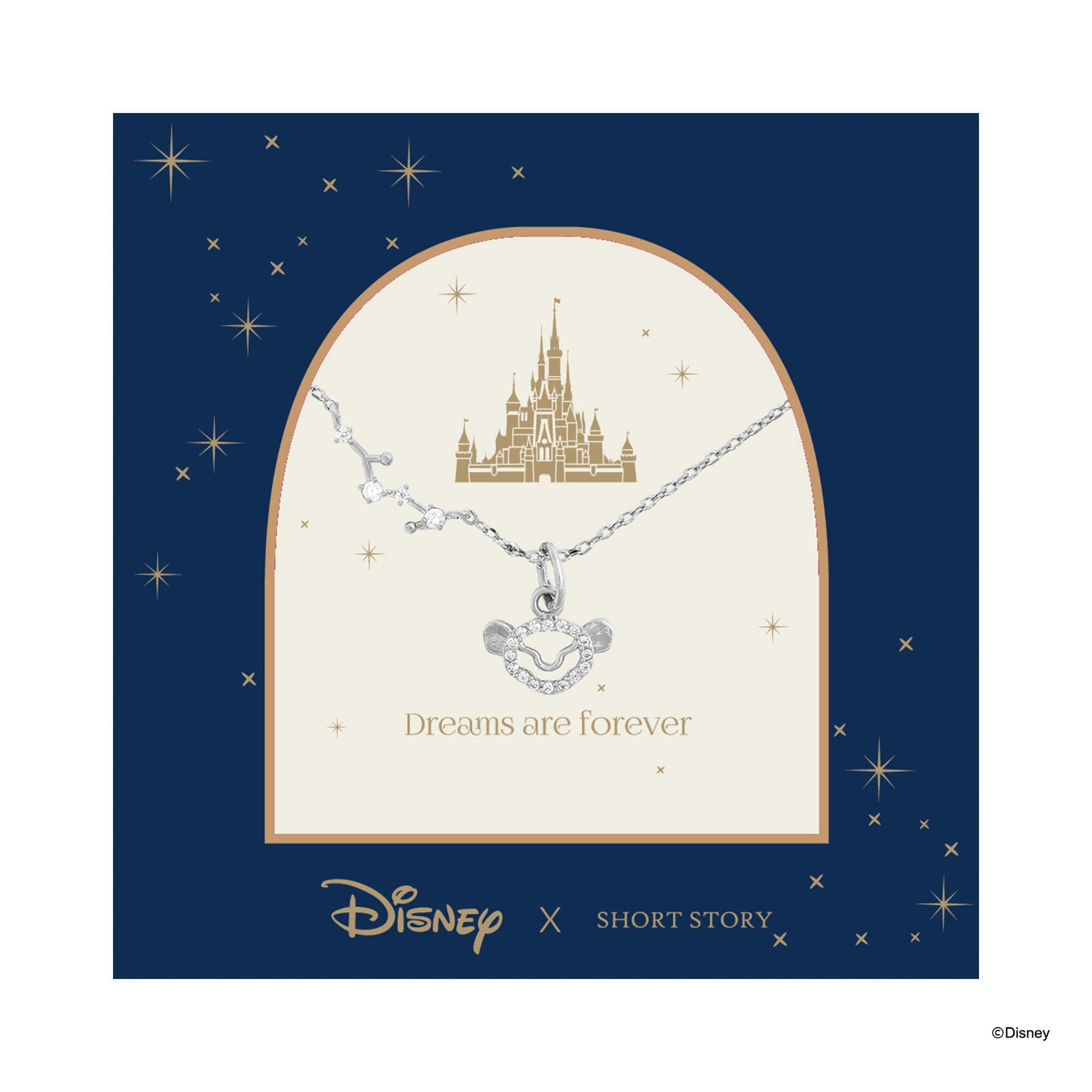 Disney Necklace Diamante Simba Face Stencil