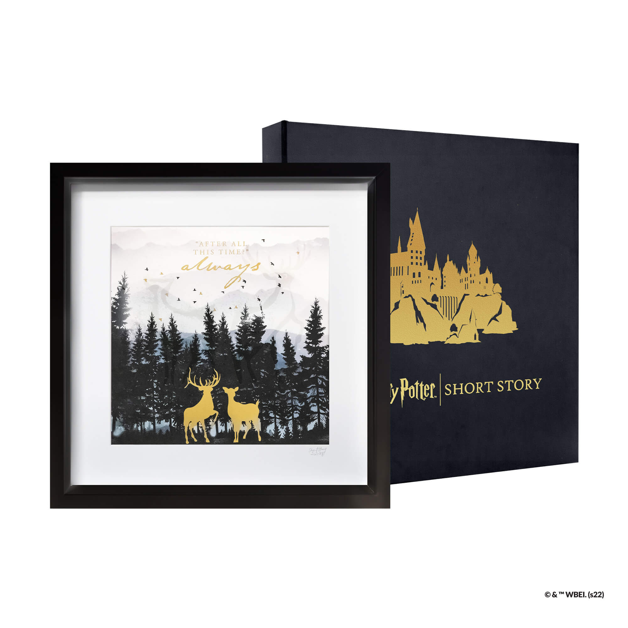 Harry Potter Large Artwork Always