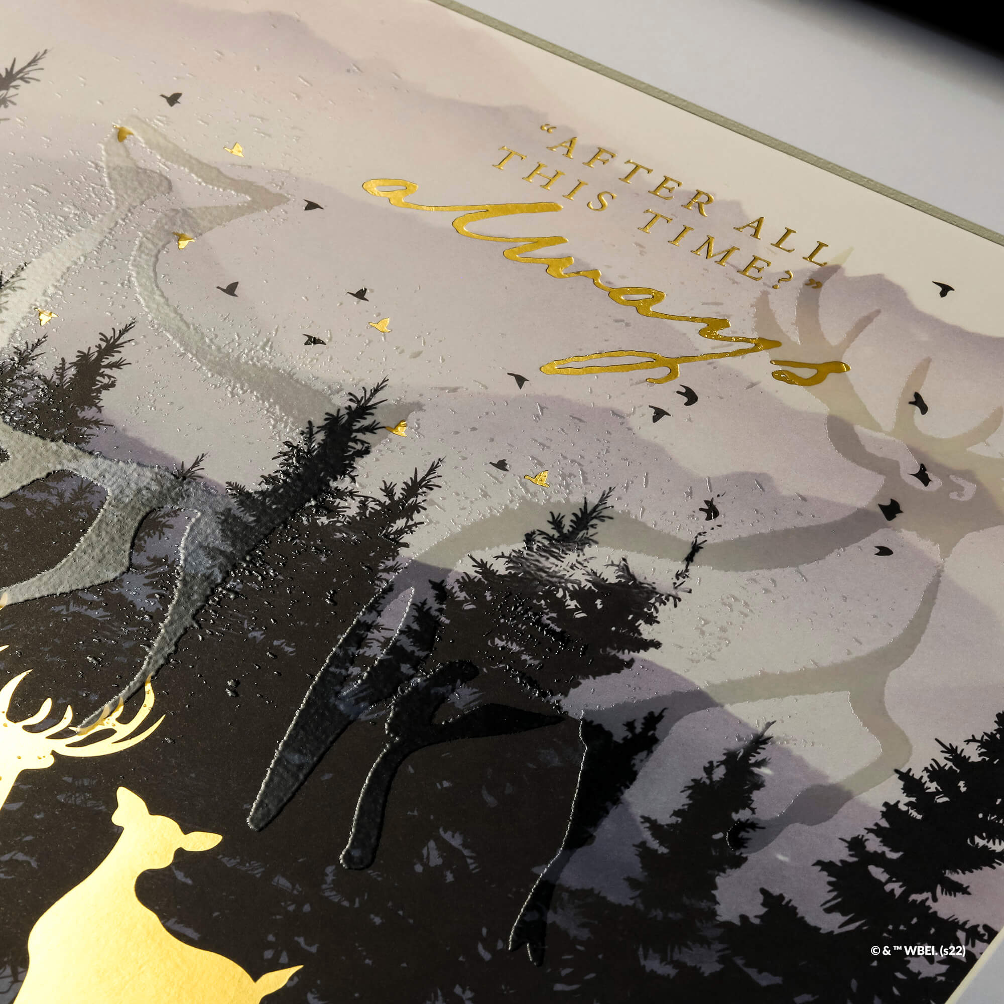 Harry Potter Large Artwork Always