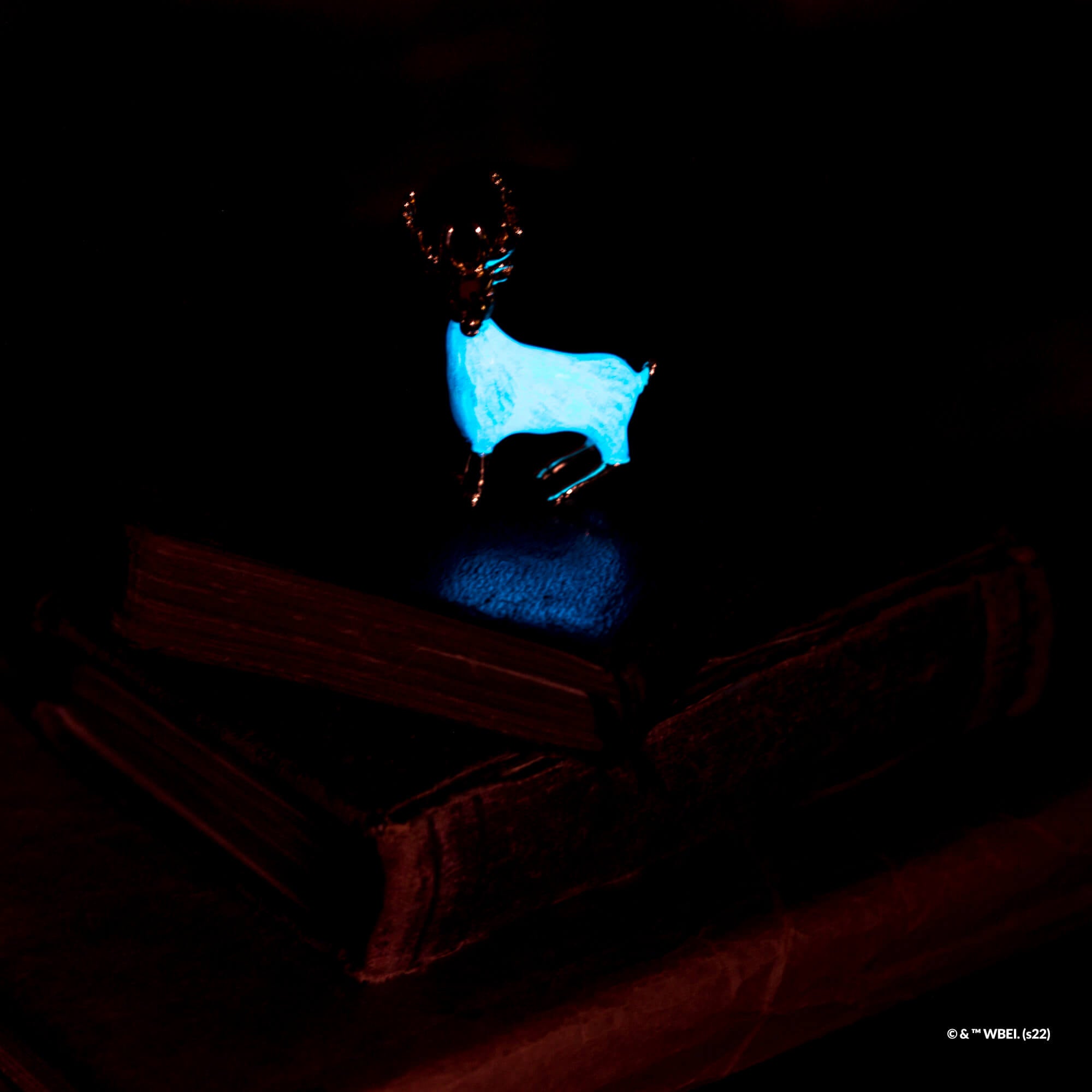 Harry Potter Trinket Pouch Expecto Patronum
