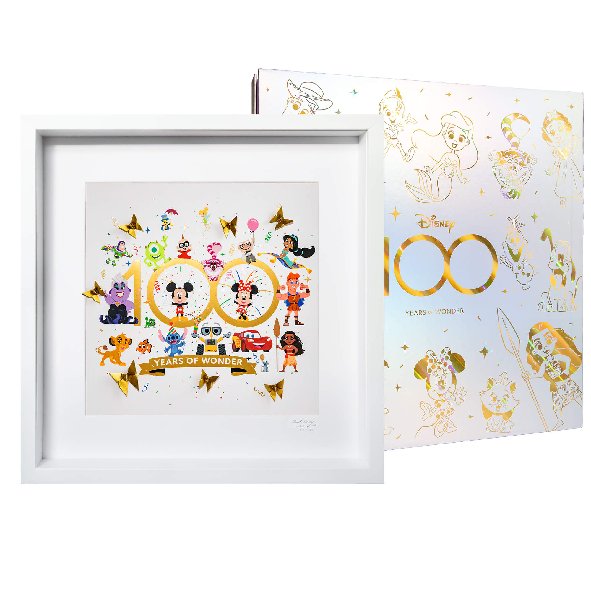 Disney Large White Frame D100