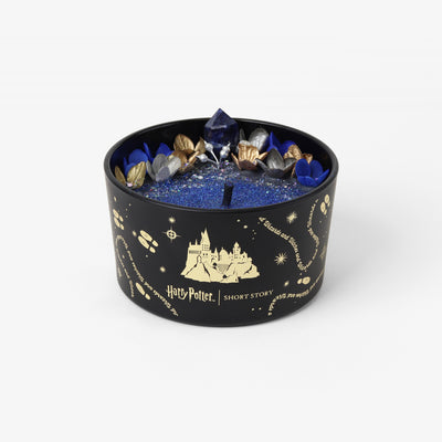 Harry Potter Ravenclaw Collection Pack