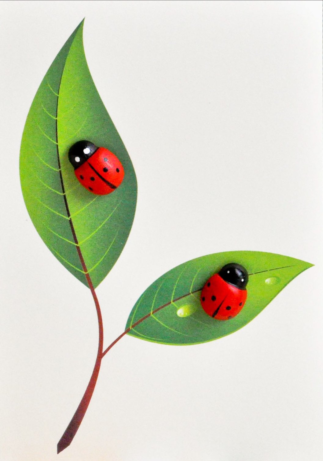 Card Ladybird