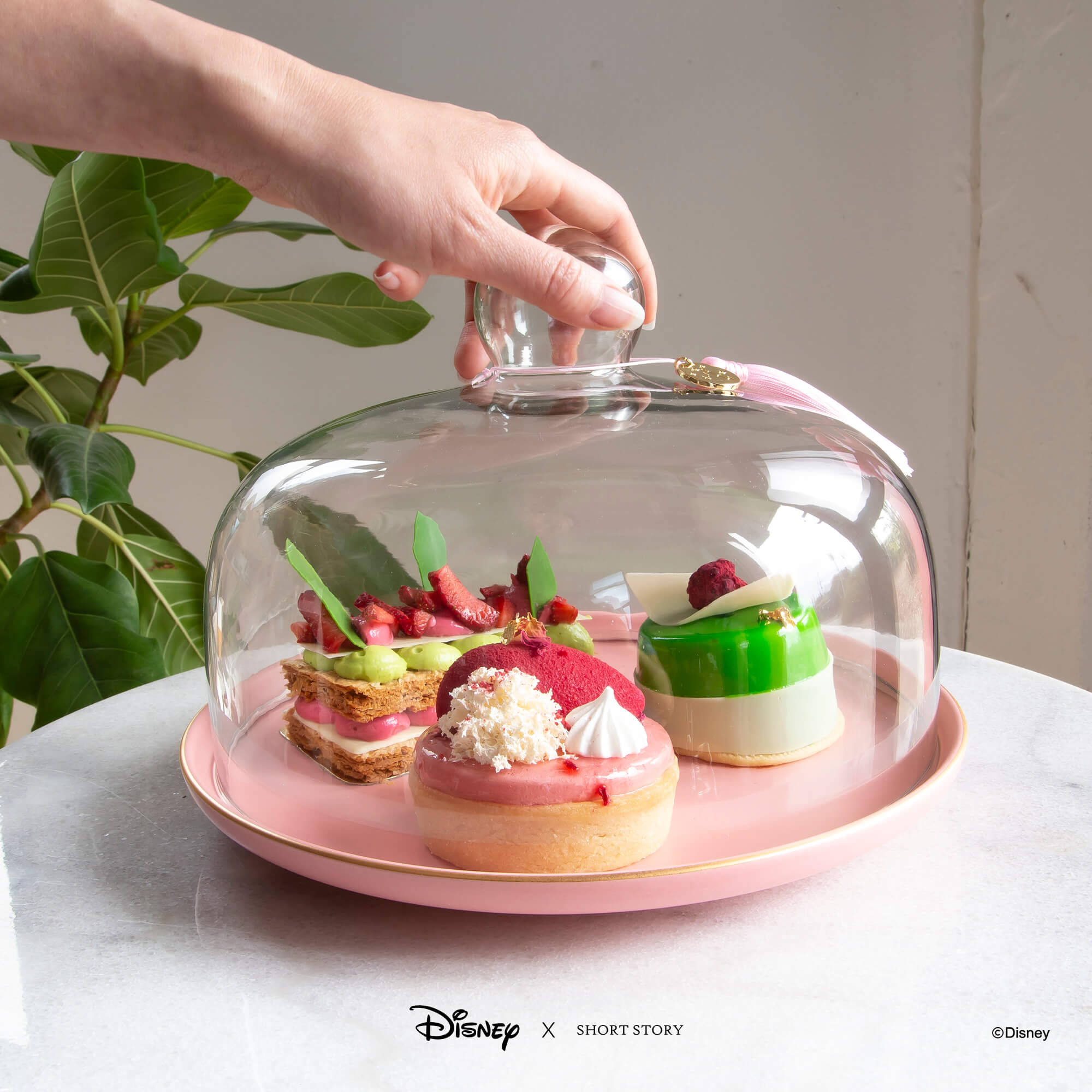 Disney Glass Dome Cloche