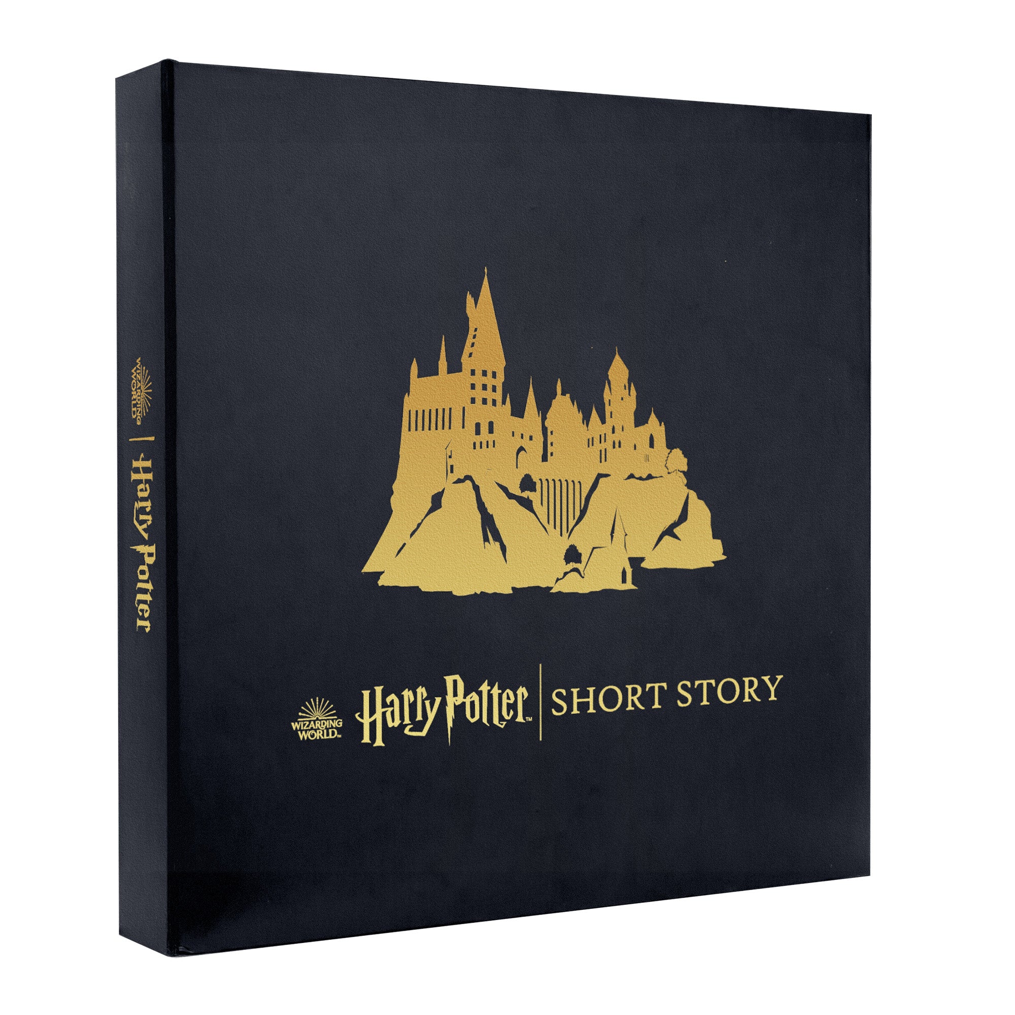 Harry Potter Large Artwork Always