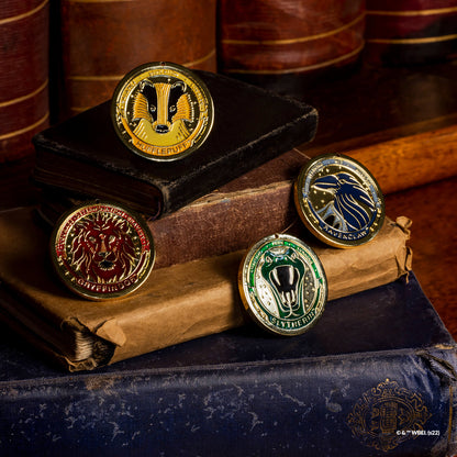 Harry Potter Trinket Collection Pack