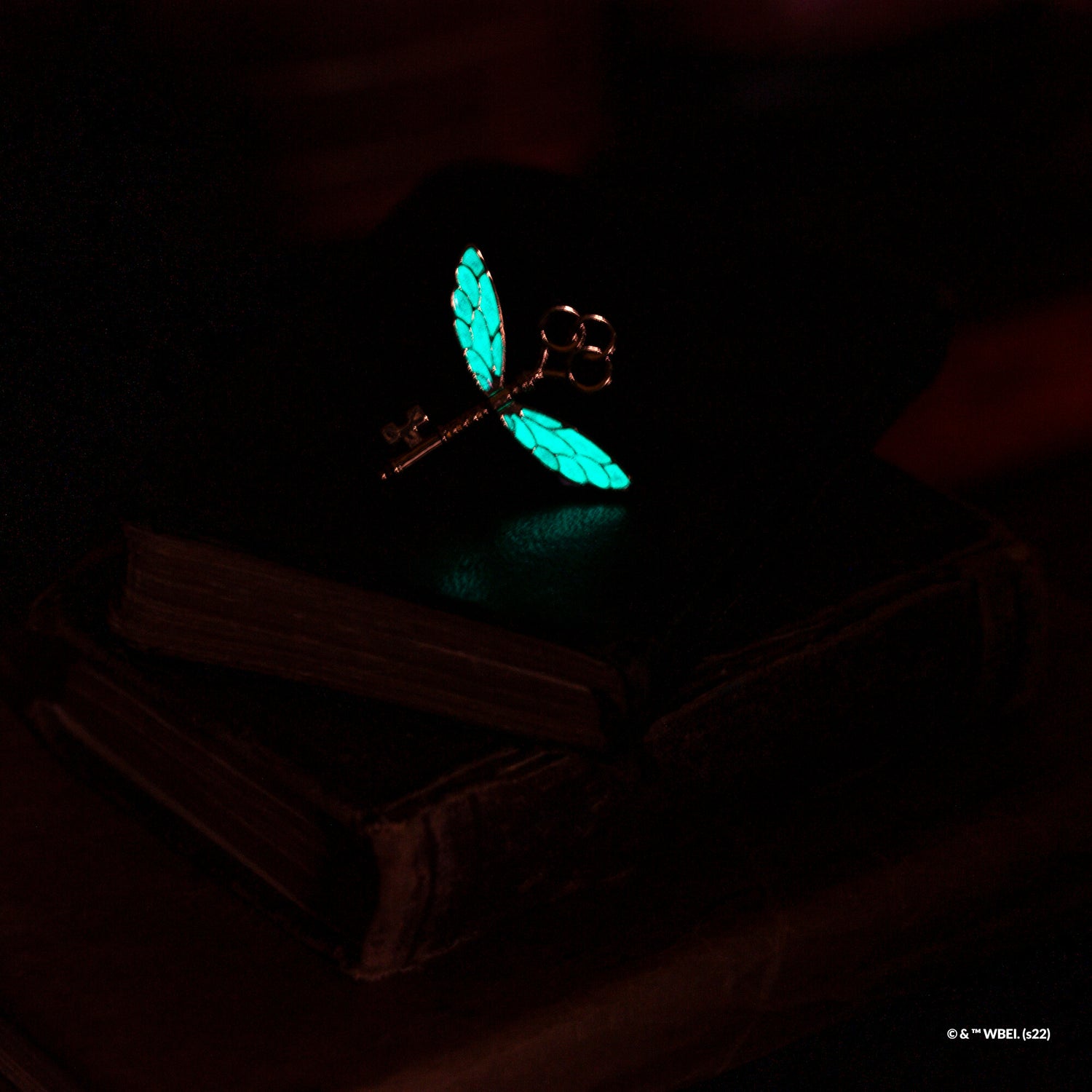 Harry Potter Trinket Collection Pack