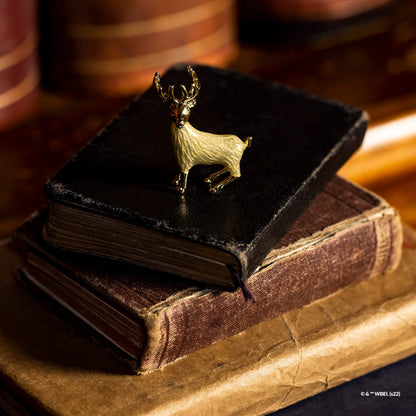 Harry Potter Trinket Collection Pack