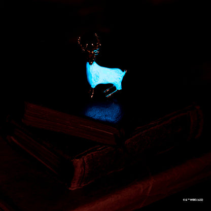 Harry Potter Trinket Collection Pack