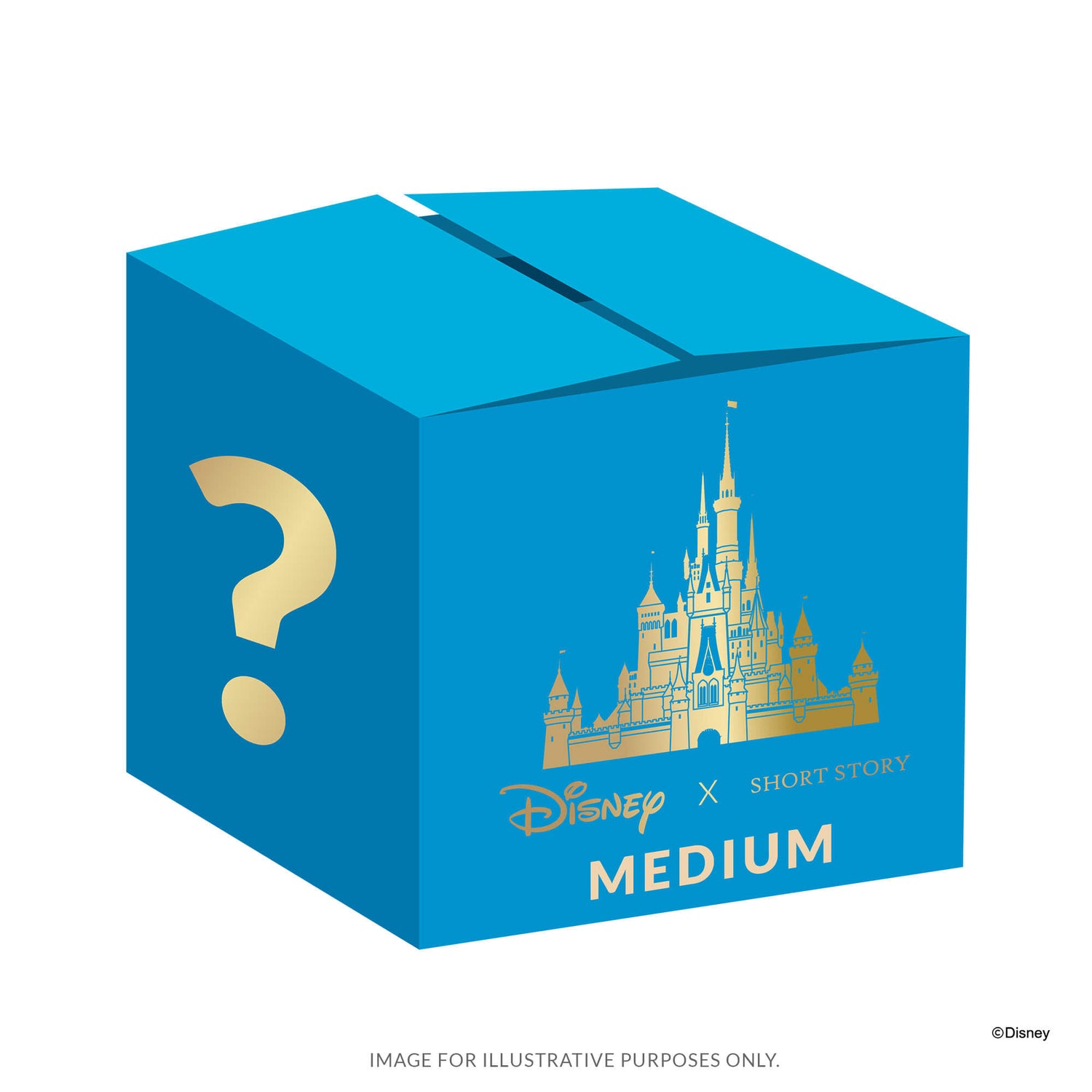 Disney Mystery Pack Medium