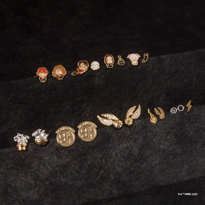 Harry Potter Earring Epoxy Ron &amp; Hermione