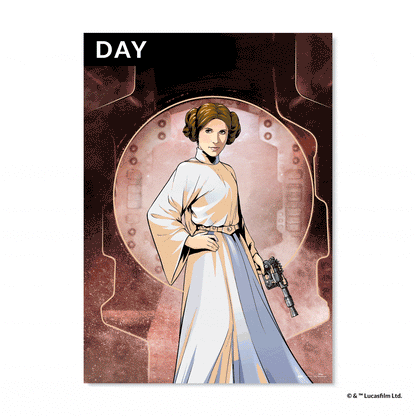 Star Wars™ Poster A1 Princess Leia™*
