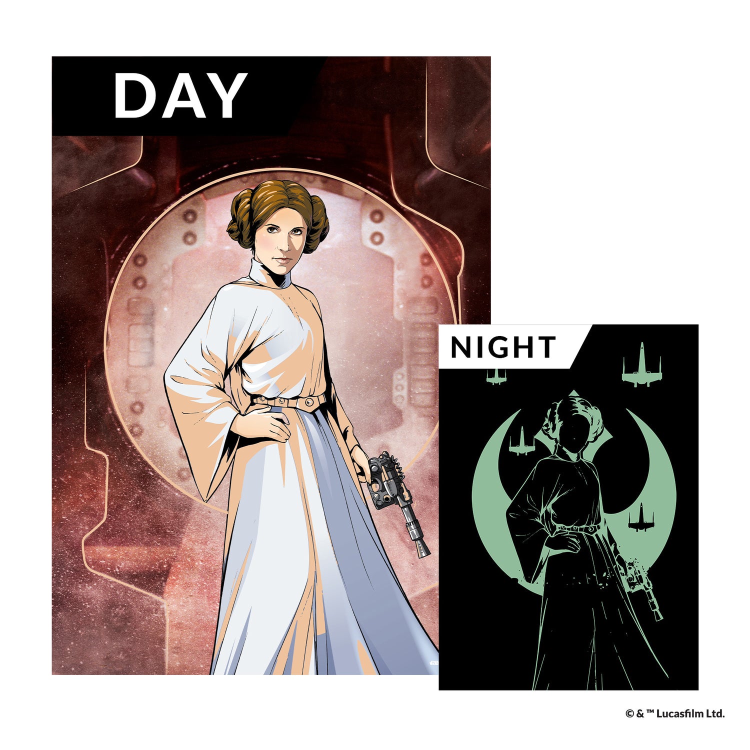 Star Wars™ Poster A1 Princess Leia™*
