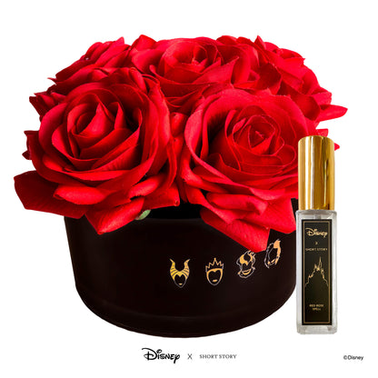 Disney Villains Evil Queen Collection Pack