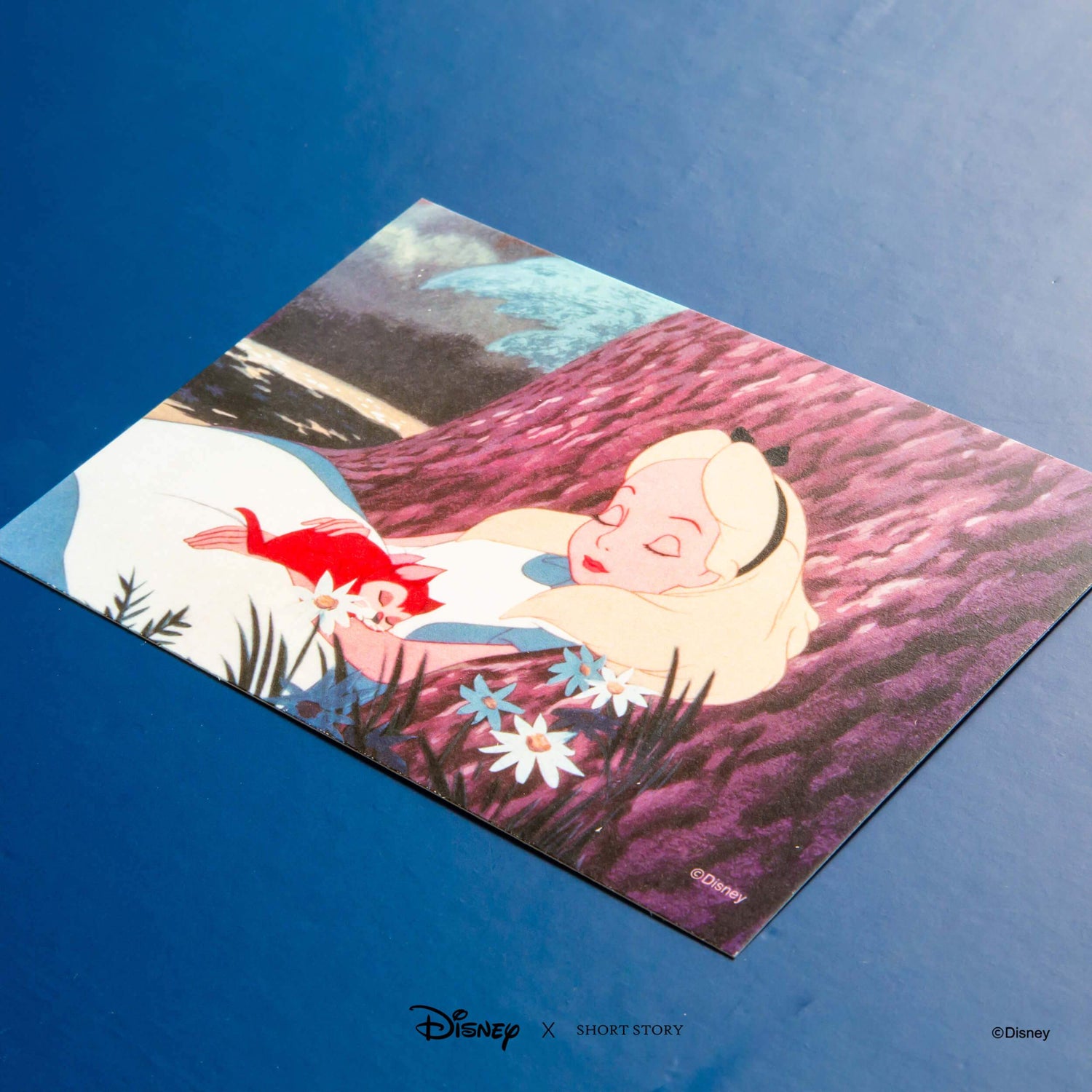 Disney Special Edition White Frame Alice in Wonderland