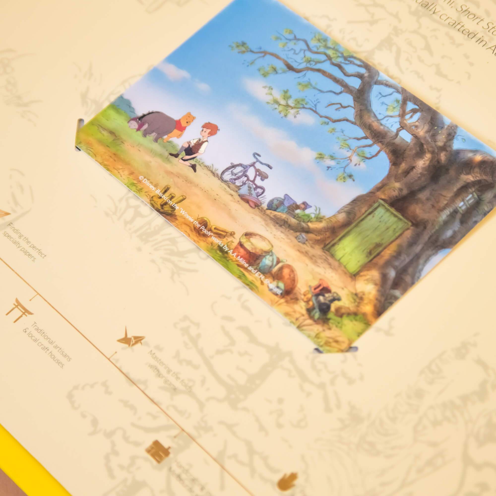 Disney Special Edition Natural Frame Winnie the Pooh