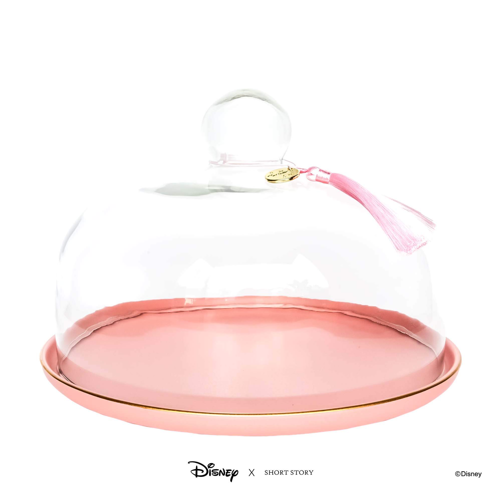 Disney Glass Dome Cloche