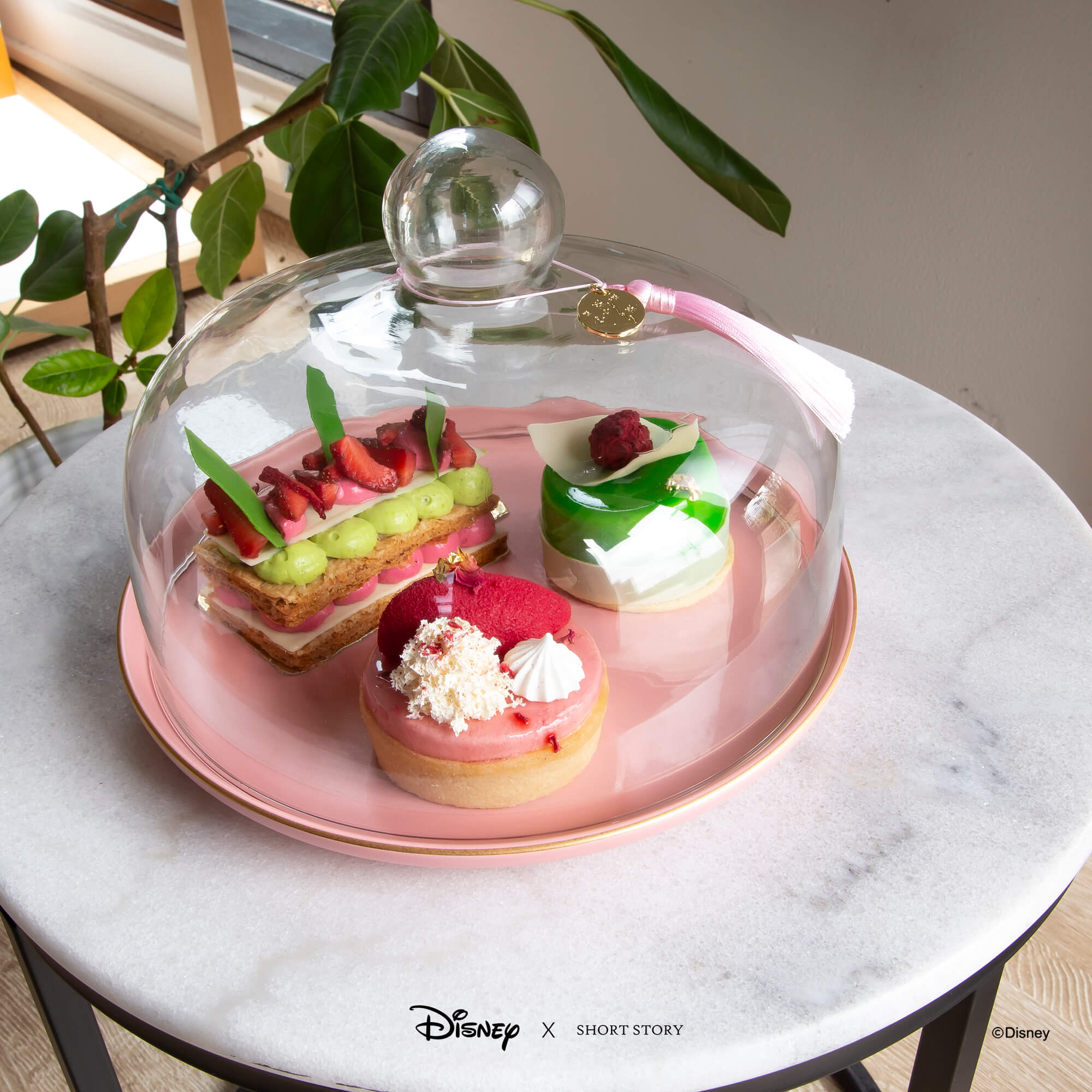 Disney Glass Dome Cloche