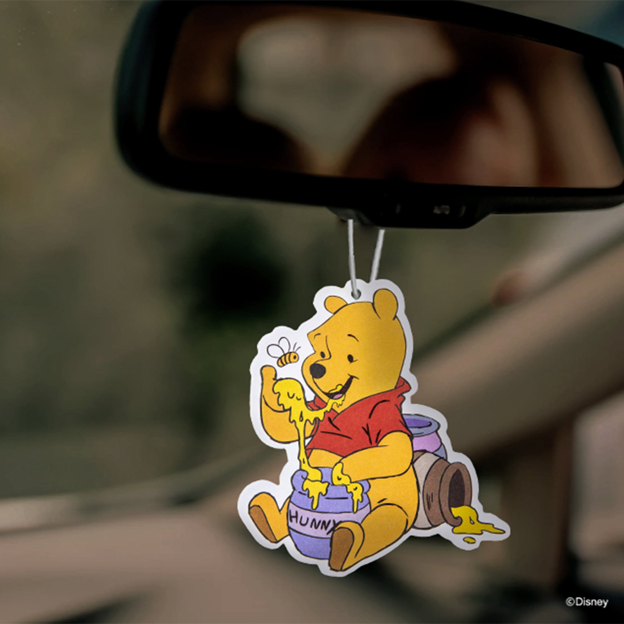 Disney Winnie the Pooh Auto-Sonnenrollo –