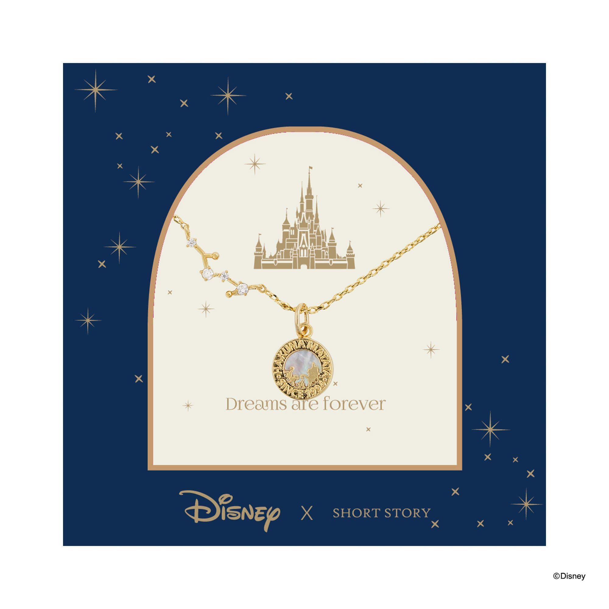 Disney Necklace Hakuna Matata