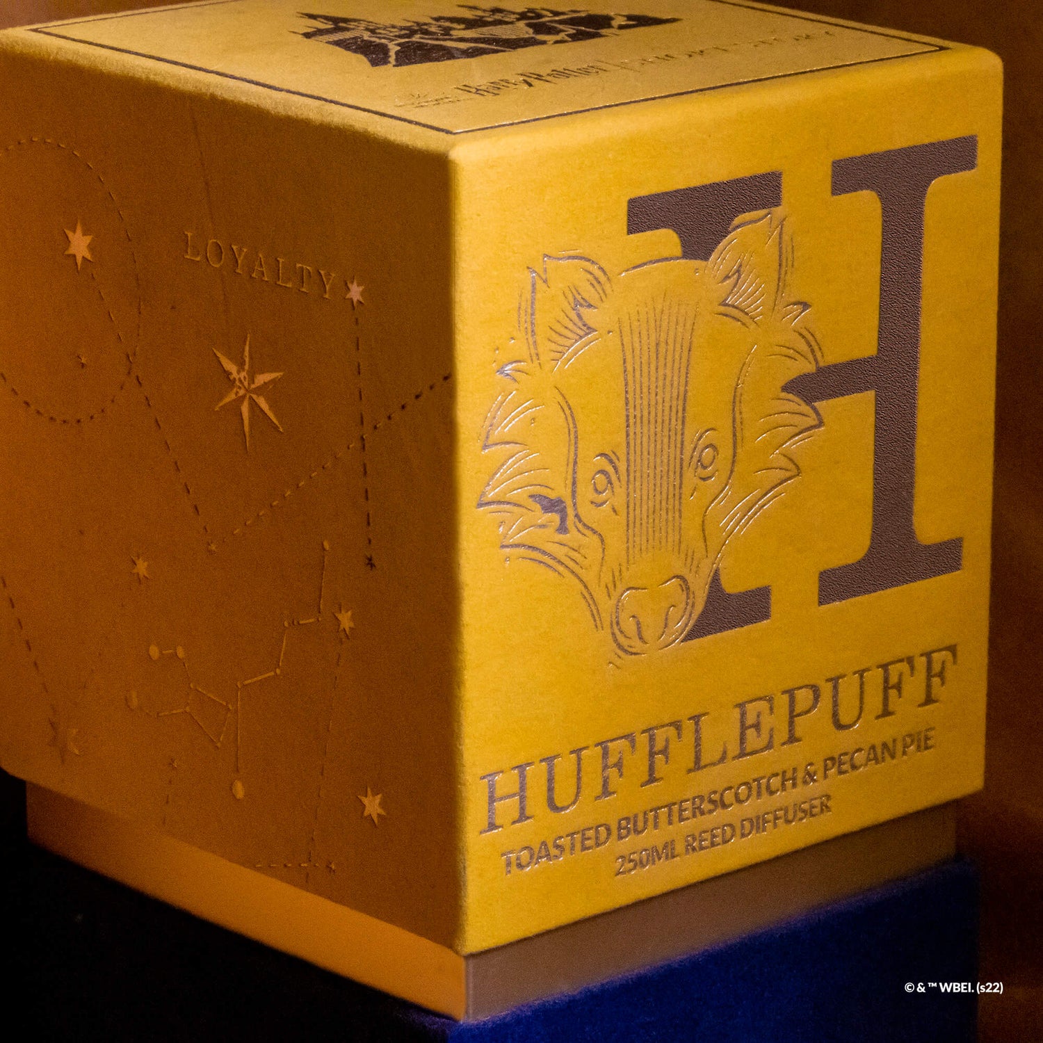 Harry Potter Diffuser Hufflepuff