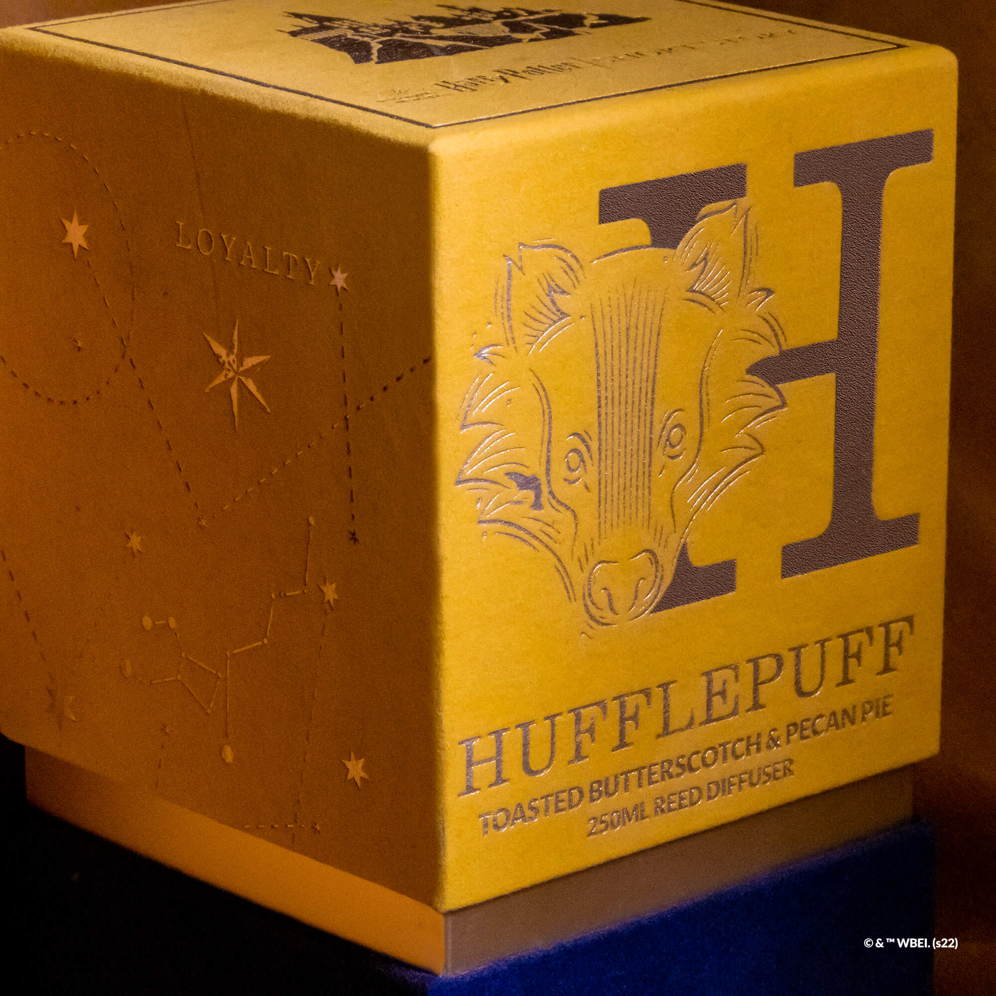 Harry Potter Diffuser Hufflepuff