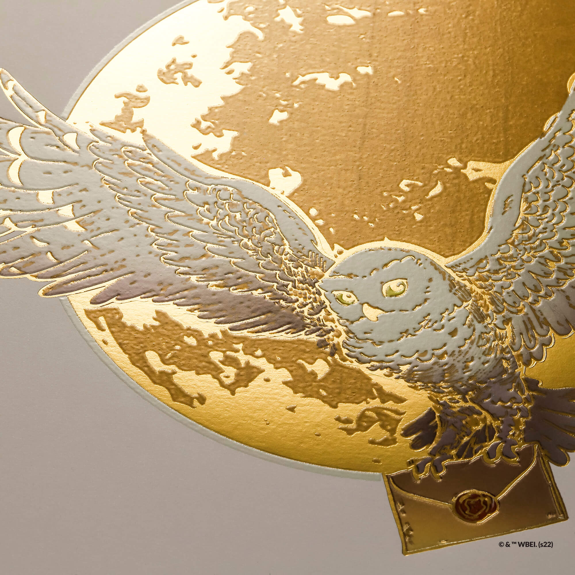 Harry Potter Large Artwork Hedwig