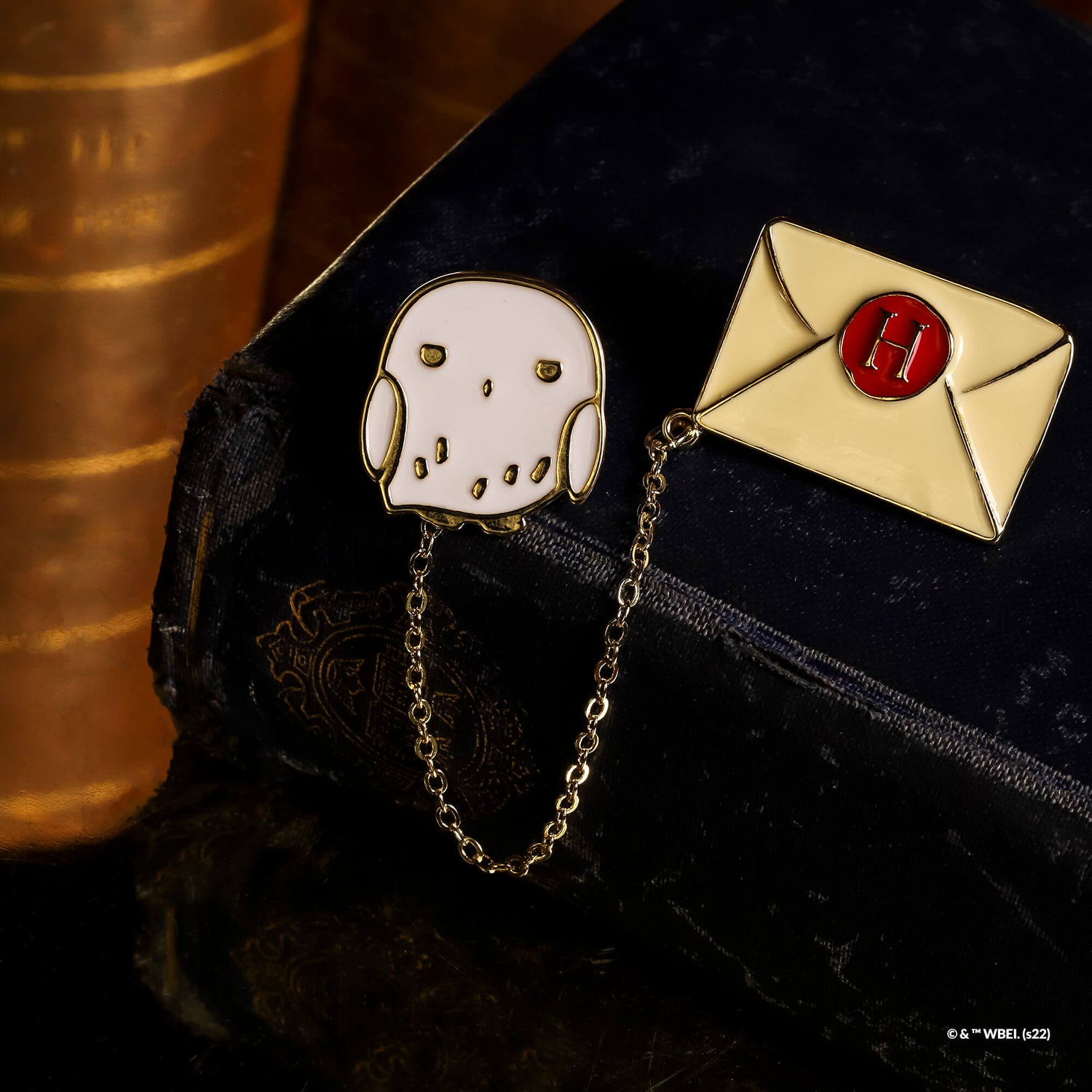 Harry Potter Enamel Pin Hogwarts Letter &amp; Hedwig